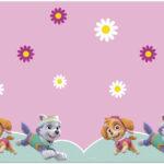 Fata de masa plastic Paw Patrol Skye & Everest