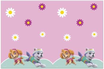 Fata de masa plastic Paw Patrol Skye & Everest
