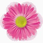 Balon figurina Daisy Pink flower, 36 cm