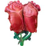 Balon fig. Trandafiri Rosii 68x76 cm